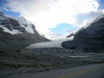 Columbia Icefield: one of the thickest ice masses south of the North Pole (350 m)
