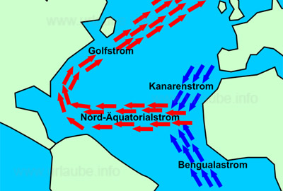 The Canarian current feeds the northern equatorial current with fresh and cool sea water.