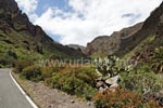 The drive through the Barranco de Guayadeque provides a spectacular panorama that reminds one on American canyons.