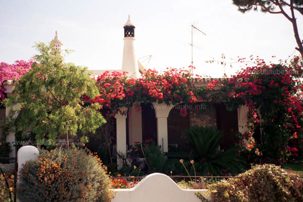 Beautiful house with garden