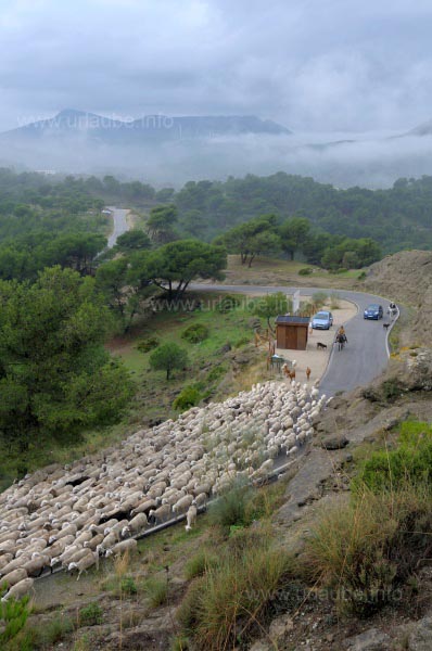 Landscape at Bobastro