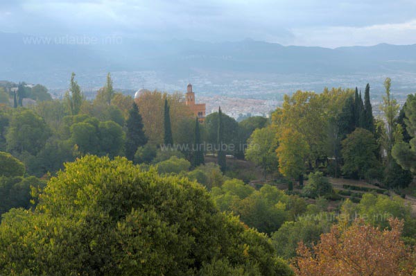Evergreen nature in Andalusia