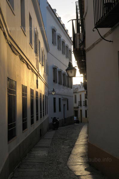 In the alleyways of Juderia 