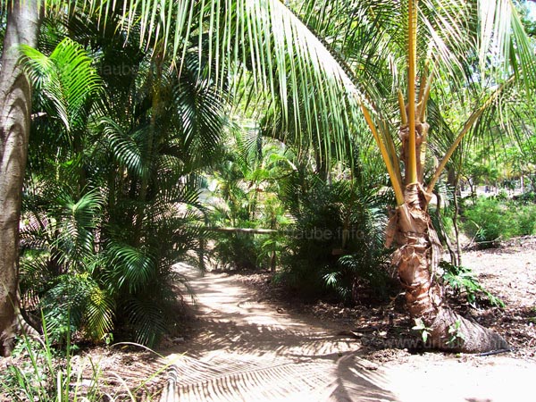 The natural finished garden of the Bungalow Bay