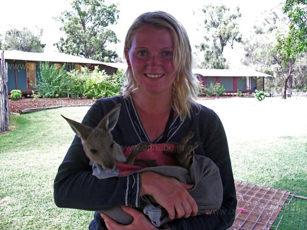 Simy and the baby kangaroo, the accommodation of the farm in the background