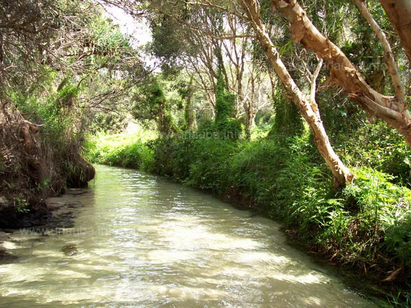River Elli Creek