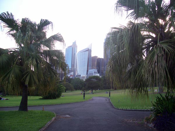Botanical garden of Sydney