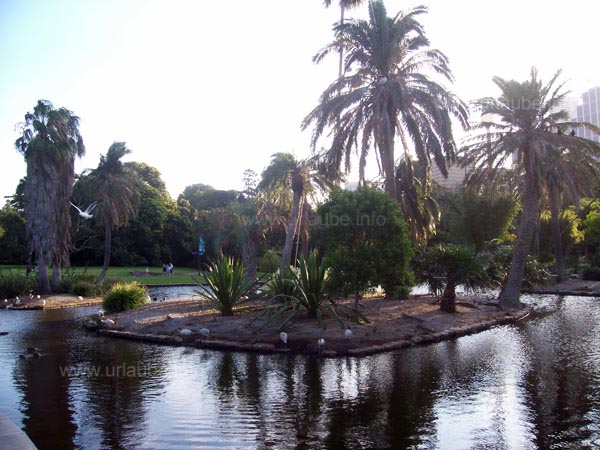 Botanical garden of Sydney