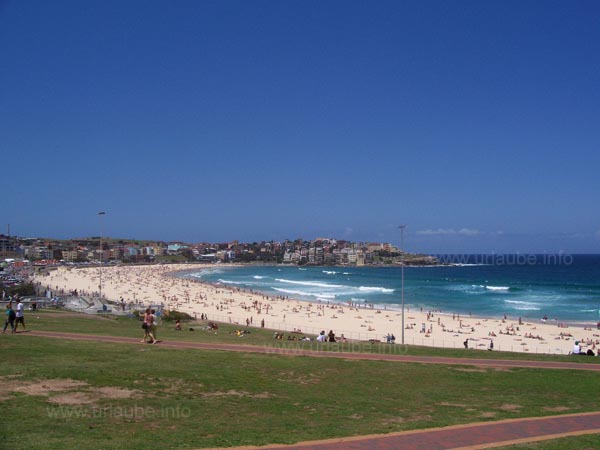 View to the Bondi Beach