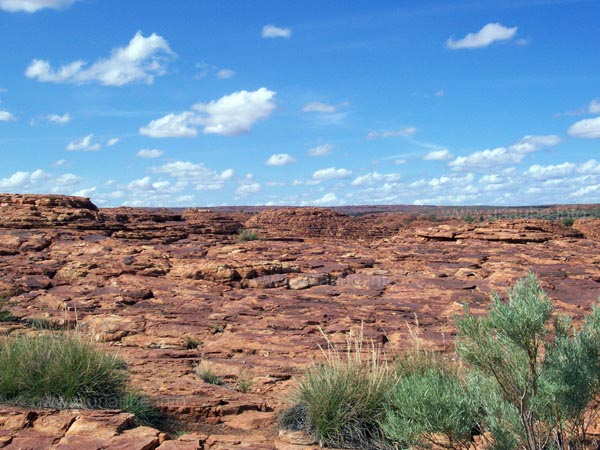 On the plateau of the canyon