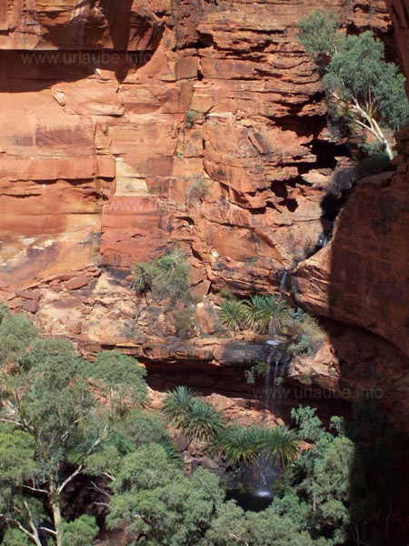 View from the plateau to the 200m high sandstone walls
