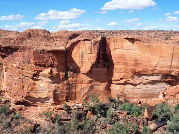 View to the Garden Eden