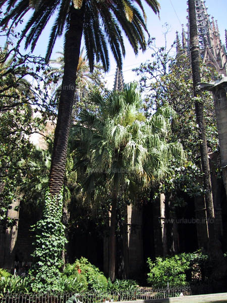 View into the garden of the cathedral