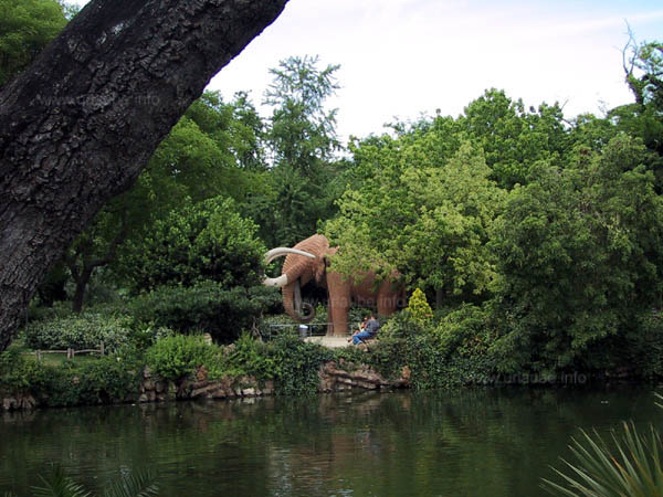 A little lake amidst the park