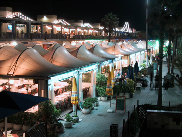 One restaurant after the next in the Port Ol&iacute;mpic