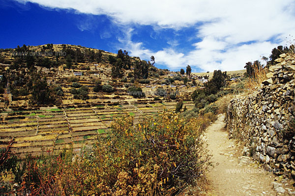 The place Sampaya is idyllically located beween the slope terraces and eucalyptus trees