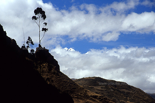 From the clouds, the peaks of the Illimani rise up