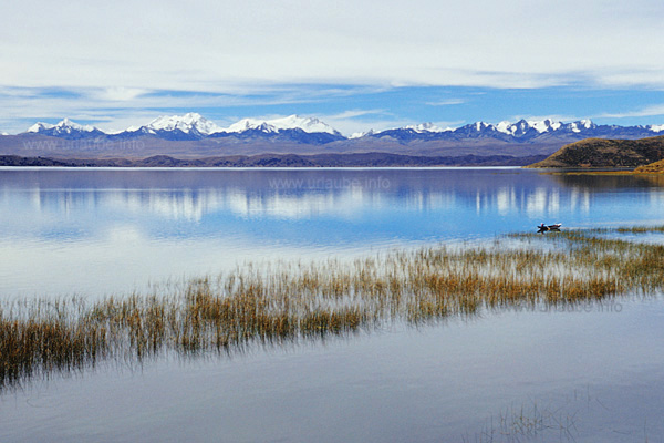 The Cordillera Real rises over the wide lake surface