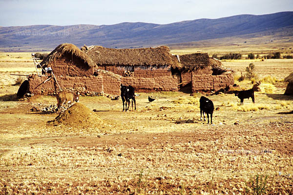 A typical small farm made of clay and straw