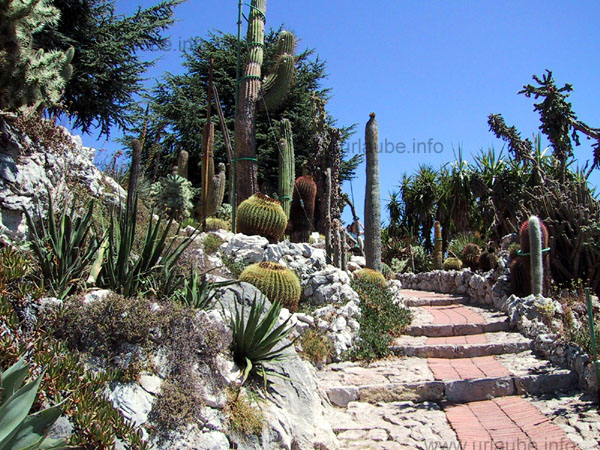 The Jardin Exotique on the top of the hill