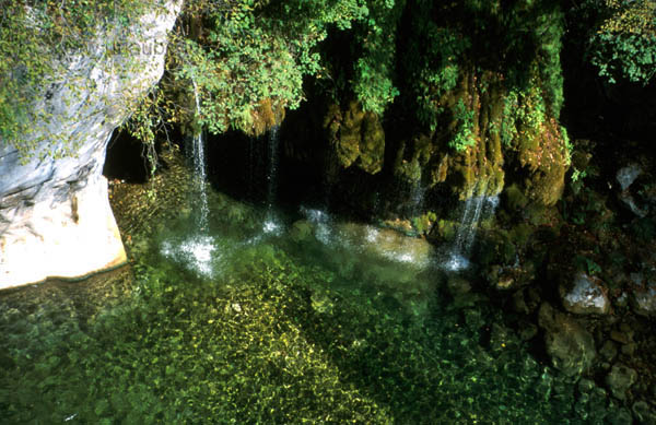 The water is crystal clear!