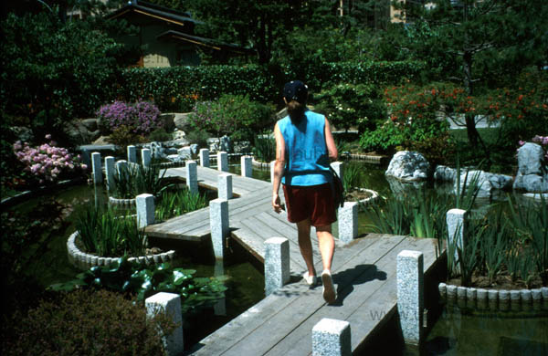 One finds some quietness in the Japanese garden.