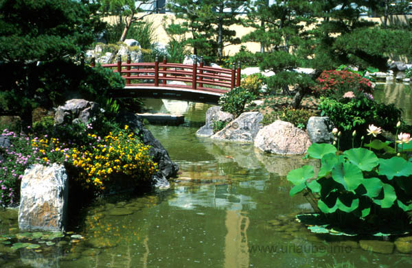 A Japanese bridge in the Japanese garden