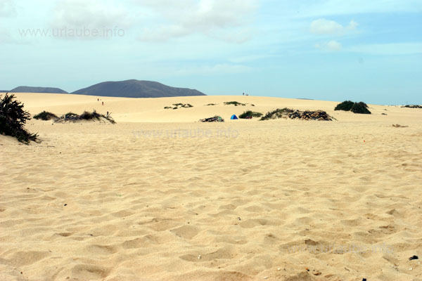 View from the beach to the sand dunes of Corralejo