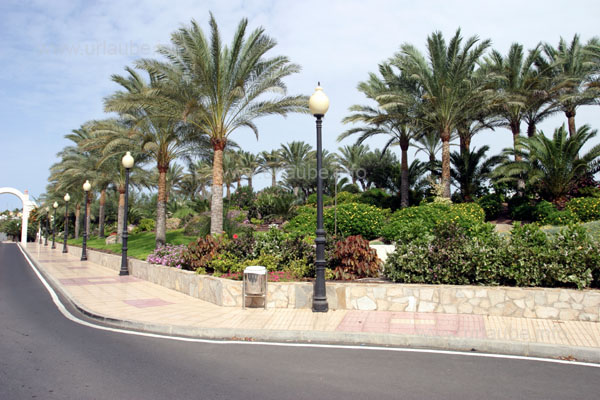 Green complex in the access area of the hotel