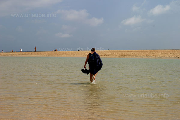 Wading through the lagoon