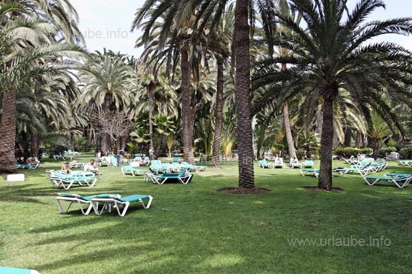 Verdant meadows and shady palms offered a pleasant contrast to the highly populated pool.