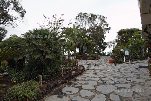 Montana de Arucas is not only an imposing view point. The restaurant with a leafed terrace invites to have a rest.