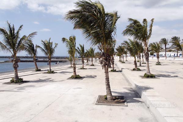 Many palms adorn the place that leads to the promenade.