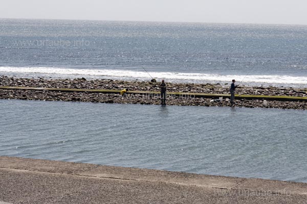 In one of the moles in front of the promenade, some ambitious fishermen were standing.