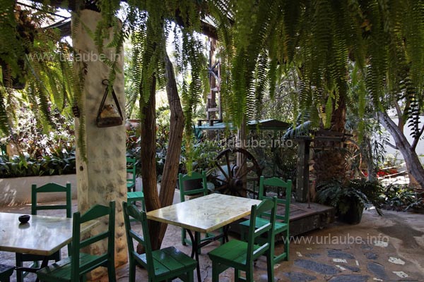 In the nice and leafy yard it was possible to relax.