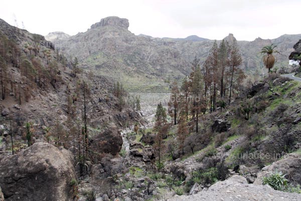 Many times, the Soria lake contains only few water and it is hard to recognize it through the trees of the parking place.