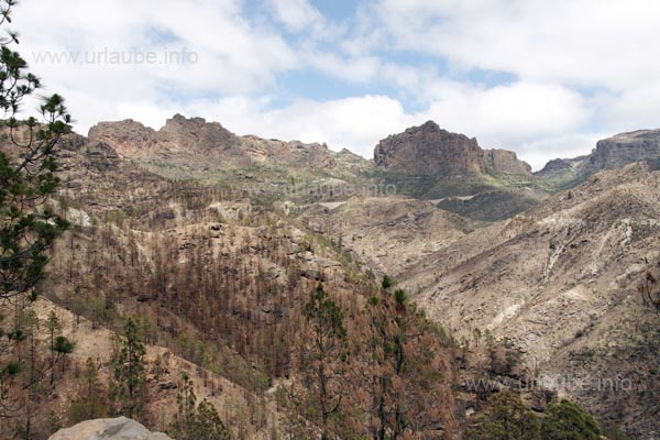 In the area around m Ayacata, one is surrounded by a scant and rocky landscape.