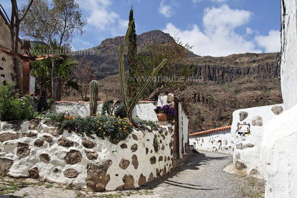 In Fataga it is possible to loaf through many very cute looking small alleyways.
