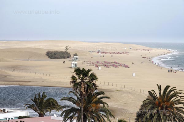 The dunes of Maspalomas seem to extend endlessly.