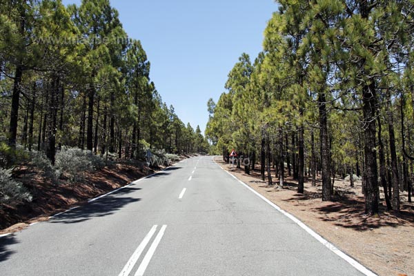 To Pico de las Nieves, one drives from Ingenio on wide and well arranged roads.