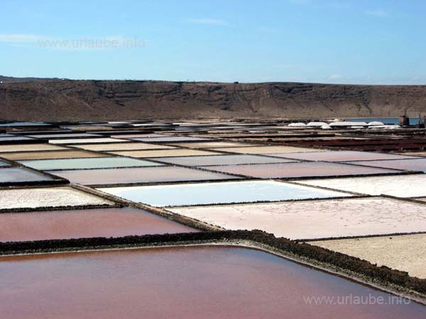 The checkered basins of the salt production complex of Janubio