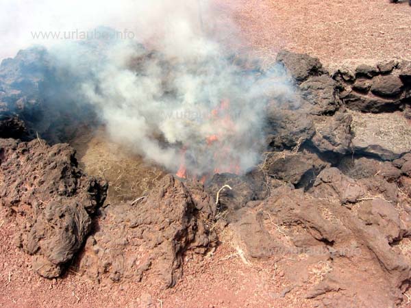 Dry brushwood gets immediately inflamed due to the high temperatures.