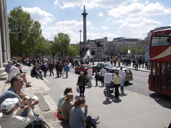 Wild life at the Trafalgar Square