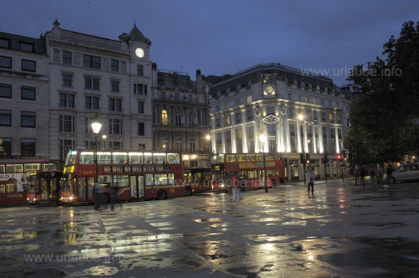Evening at the Trafalgar Square