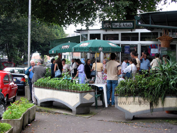 Local people that simply stand on the street and talk to each other