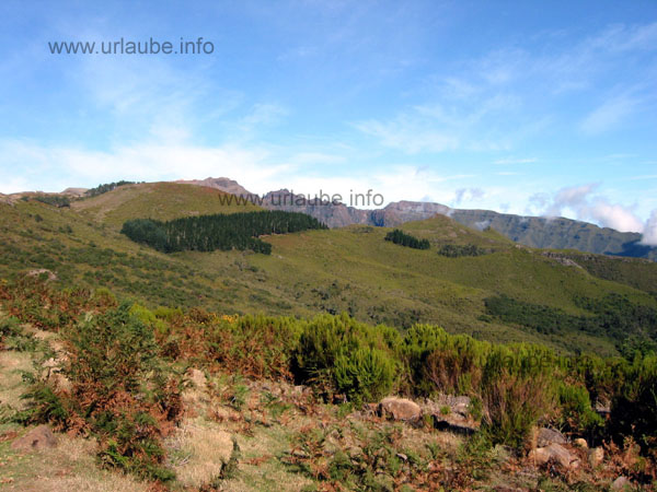 View to the top at a steppe bush area