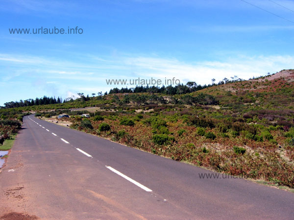 After approximately 1400 m altitude, the forest thins out and one drives through a nearly bald area.