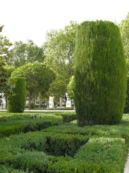 Remind on the Gardens of Sabatini: the dapper cut plants 