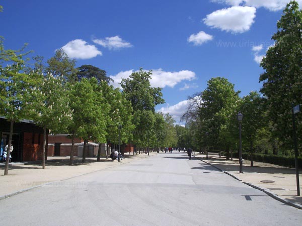 Typical: the wide boulevards in the Retiro