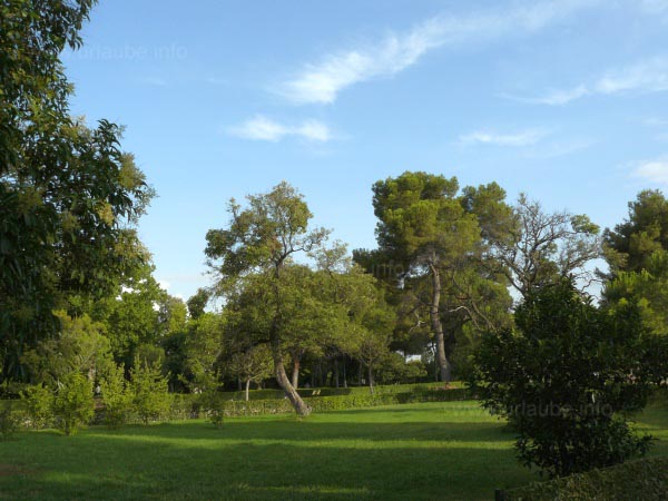 A very natural appearing spot in the Retiro